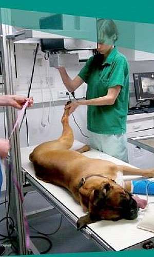 Máquina de raio x veterinário	 Máquina de raio x veterinário